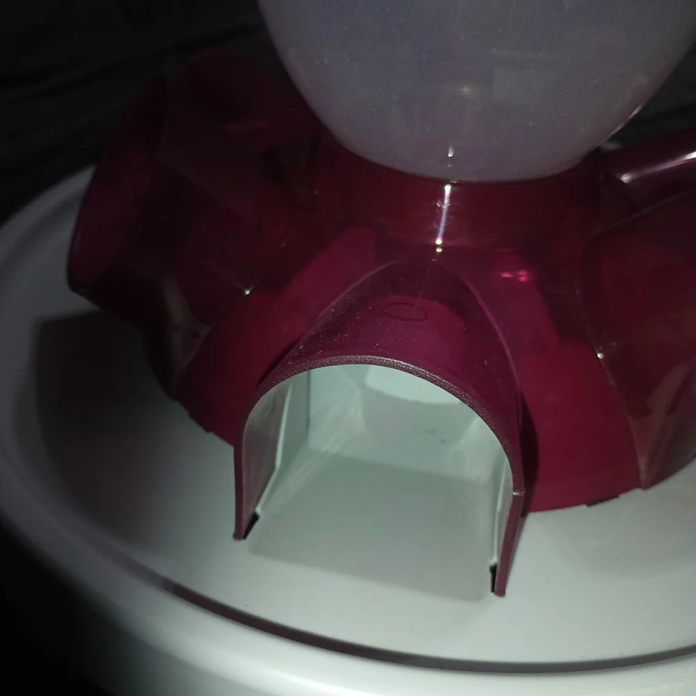 Cat Or Dog Slow Feeder